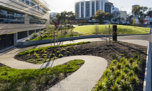 Adelaide High School Landscape